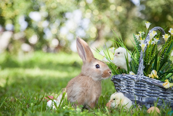 Happy Easter musings and the financial markets